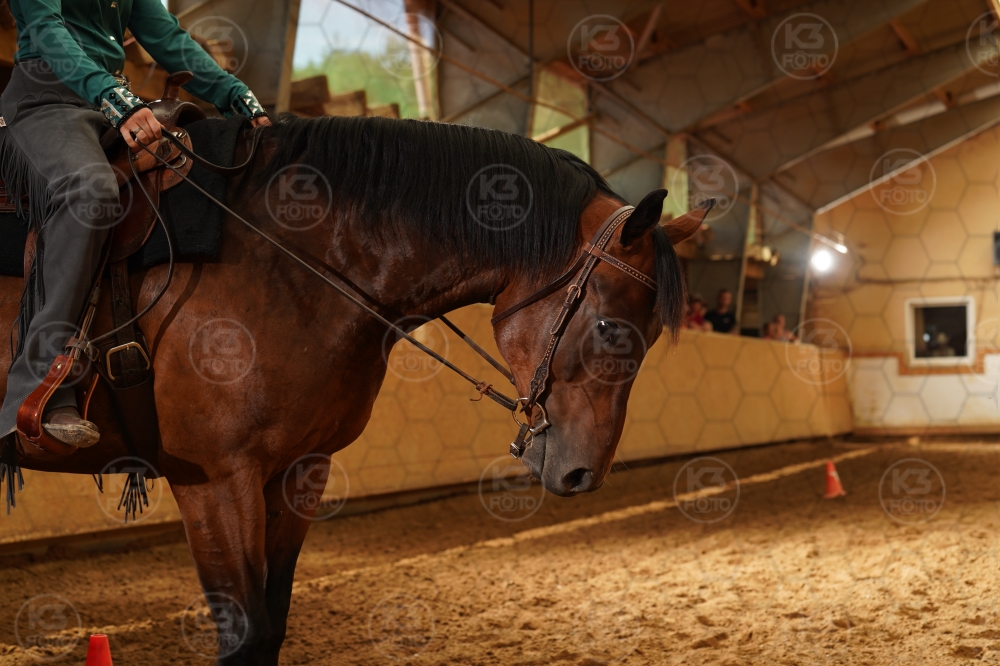 s_A9_05078.jpg